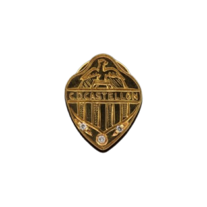 Pin personalizado para el Castellón CF